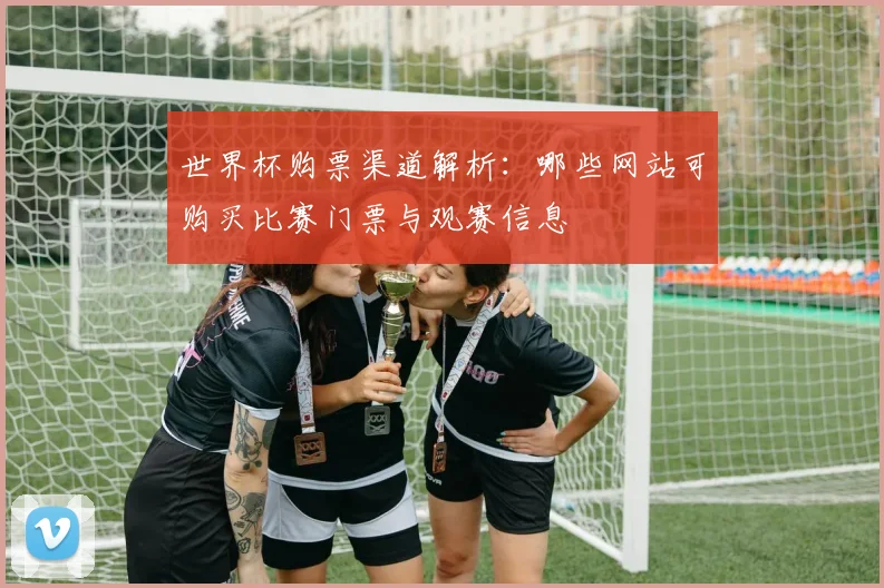 世界杯购票渠道解析：哪些网站可购买比赛门票与观赛信息