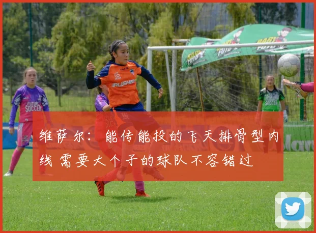 维萨尔：能传能投的飞天排骨型内线 需要大个子的球队不容错过
