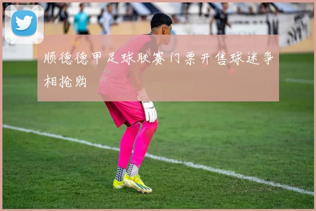 顺德德甲足球联赛门票开售球迷争相抢购