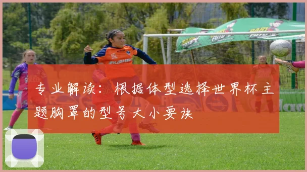 专业解读：根据体型选择世界杯主题胸罩的型号大小要诀