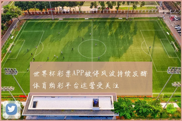 世界杯彩票APP被停风波持续发酵 体育购彩平台运营受关注