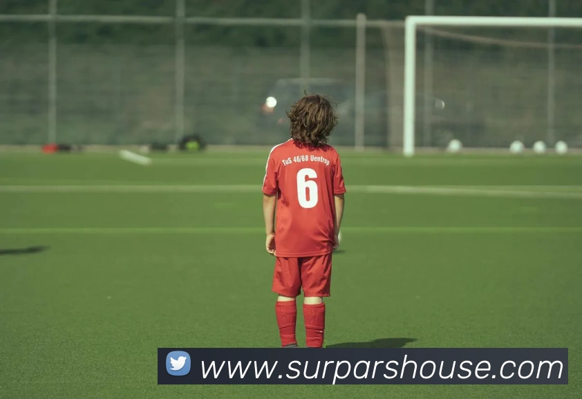 ayx登录平台品牌故事